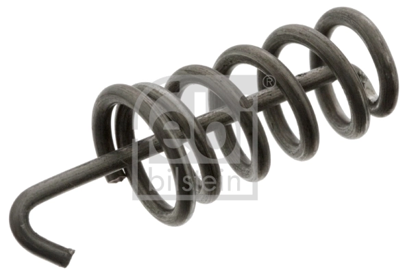 Spring, brake shoes